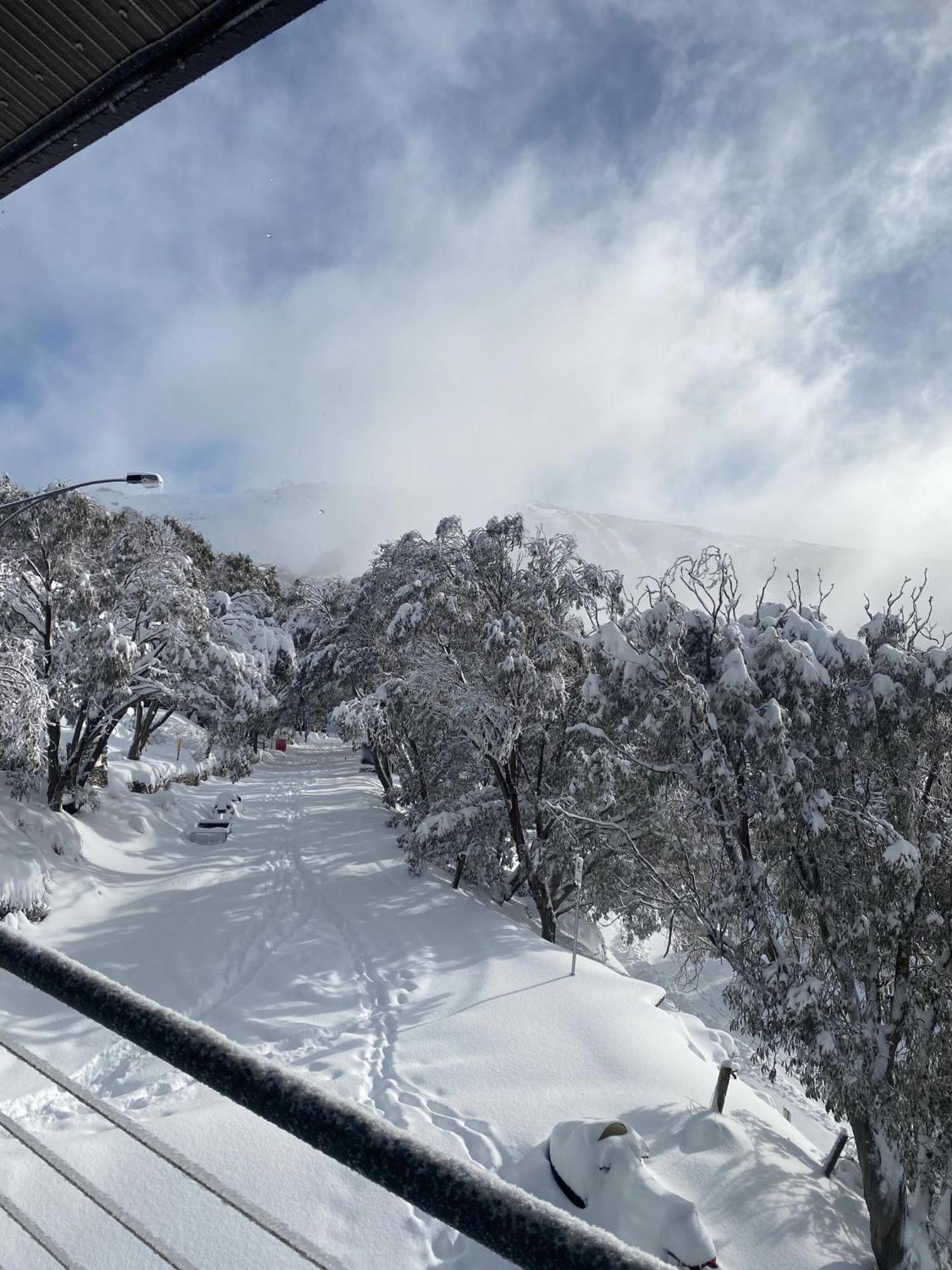 Alpine Woodsmoke Apartments Falls Creek Bagian luar foto